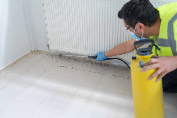 Best Mosquito Control Services  in Kodi, AK